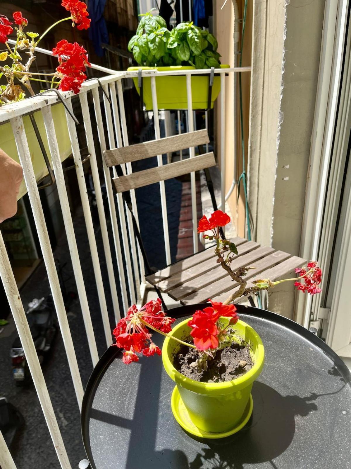 Holiday home Santa Teresa Naples